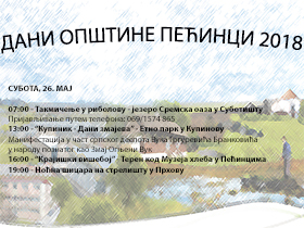 Витезови сутра на бедемима Купиника