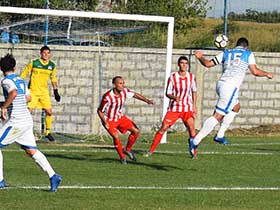 У Товарнику пуна мрежа голова