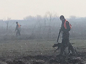 Сутра велика Хајка на шакала у општини Пећинци