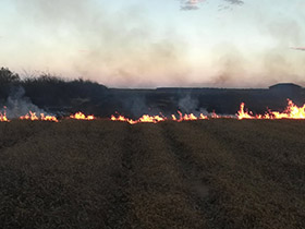 Obaveštenje o zabrani spaljivanja žetvenih ostataka