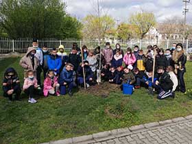 За зеленије школско двориште