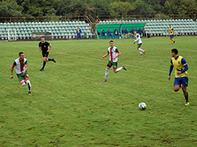 Максималан учинак Доњег Срема 2015