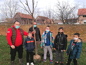 Оаза зеленила око дечјег игралишта