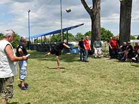 Нови харамбаша Ново Митровић 