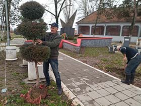 Озелењавање доприноси чистијем ваздуху у насељу