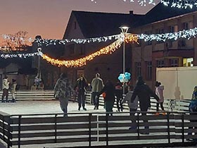 Клизаљке о клин до следеће зиме