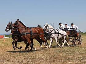 Сремачки ајгир окупио 50 запрега на фијакеријади у Огару