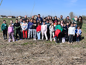 КОФИКАБ реализовао акцију пошумљавања у општини Пећинци