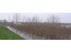 Sava pod kontrolom