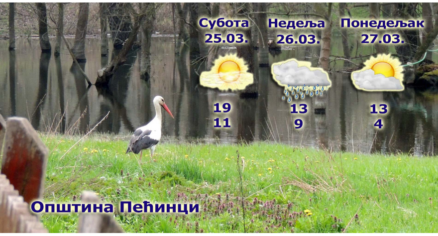 Са пролећем стигле нам и роде