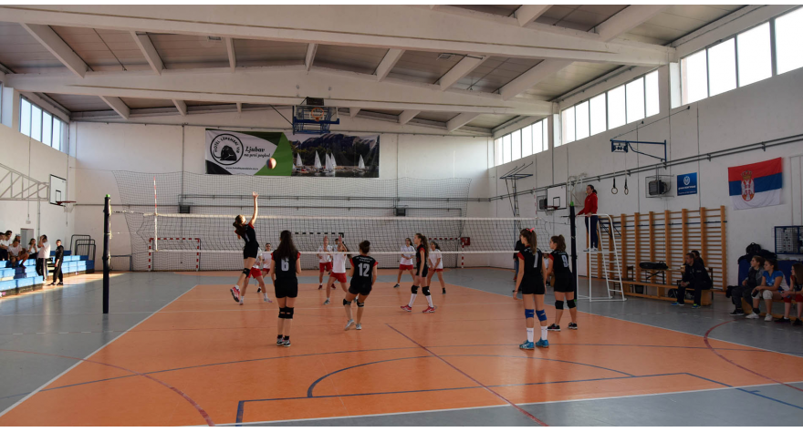 Сутра Фестивал одбојке у Доњем Товарнику