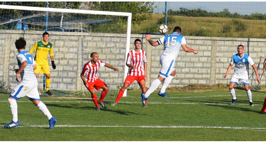 У Товарнику пуна мрежа голова