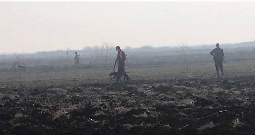 Сутра велика Хајка на шакала у општини Пећинци