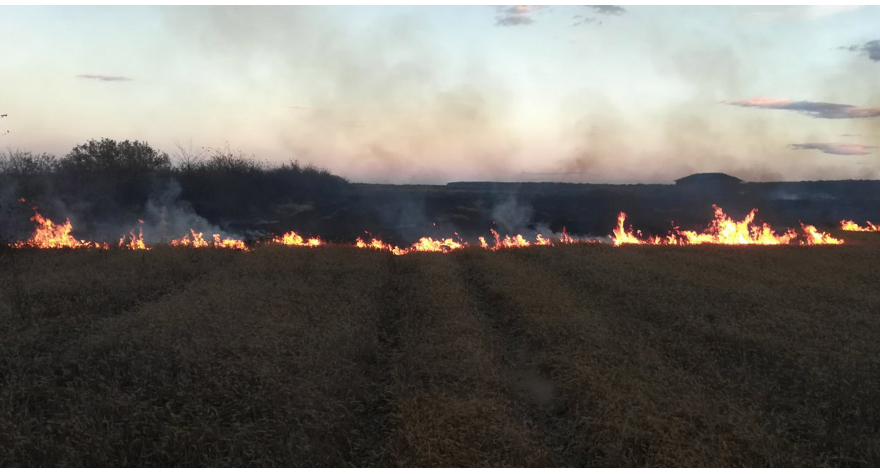 Obaveštenje o zabrani spaljivanja žetvenih ostataka