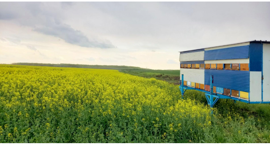 У време хемијских третмана усева неопходно заштити пчеле