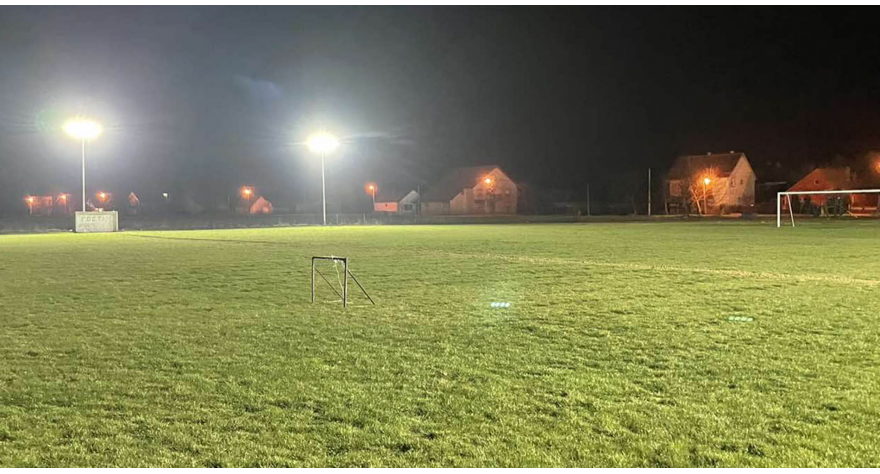 Камени синуо