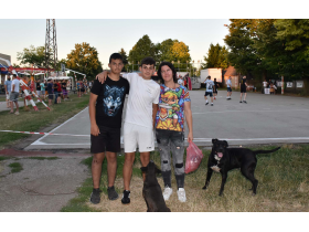 Породица Стојићевић