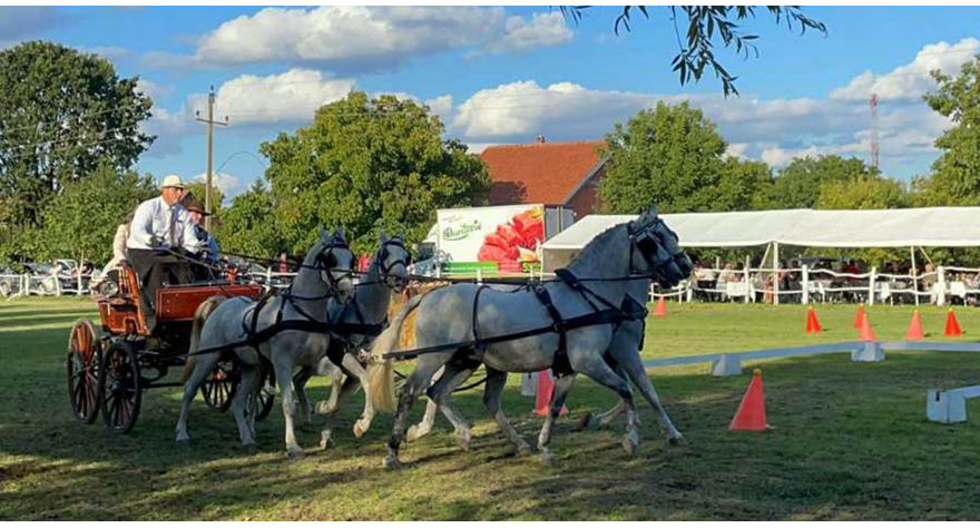 Фијакеријада окупила 50 учесника