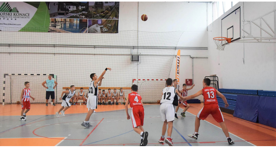 Два дана кошарке у Доњем Товарнику