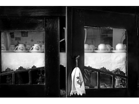 Специјална награда Туристичке организације општине Пећинци