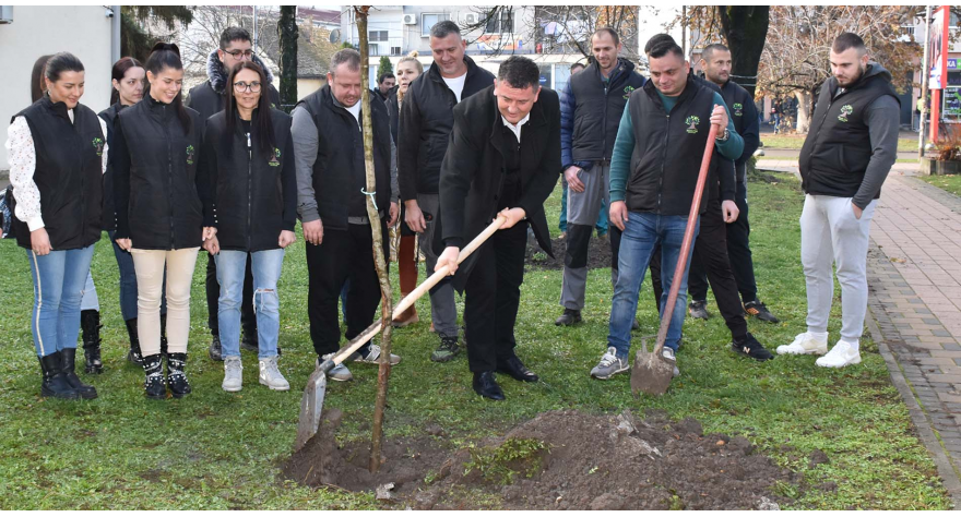 400 нових садница за зеленију општину Пећинци