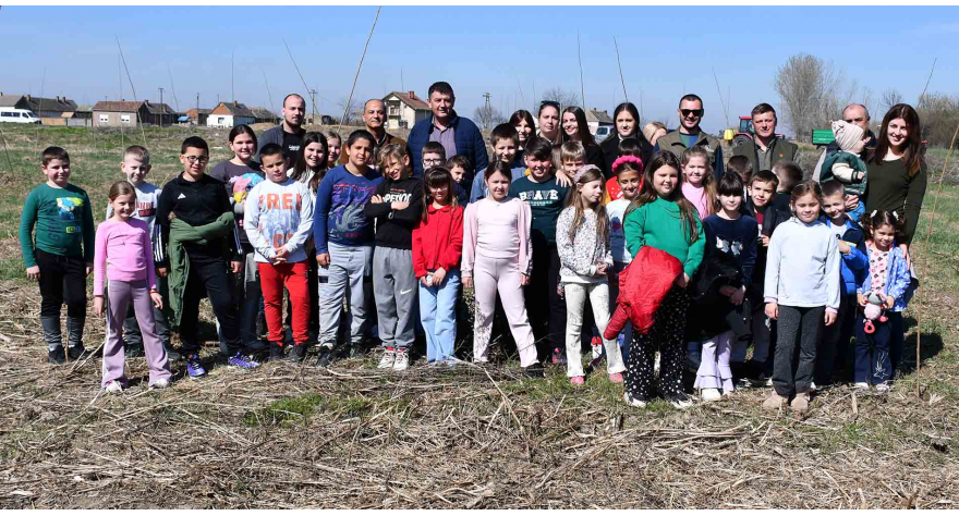 КОФИКАБ реализовао акцију пошумљавања у општини Пећинци