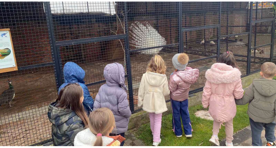 Popinački mališani se upoznali sa pticama u zoo-vrtu